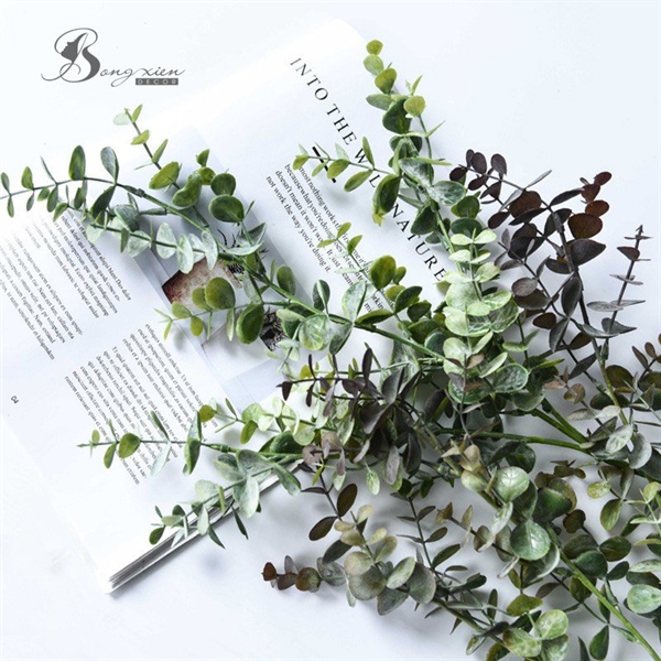 Cành huỳnh diệp lá baby 2 Cành huỳnh diệp lá baby 1