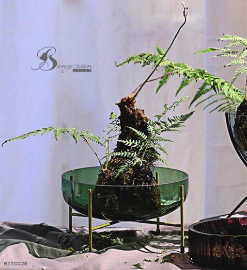 Bình TT thả hoa xanh 1