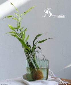 Bình TT quai xách chữ nhật (CC) 7