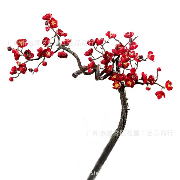 Nhánh cây hoa mai đỏ 2 Nhánh cây hoa mai đỏ 1