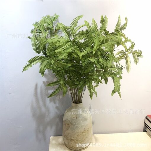 Cành dương xỉ chân gà 1