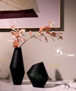 Bình TT xọc ngang tổ kiến (S) 9