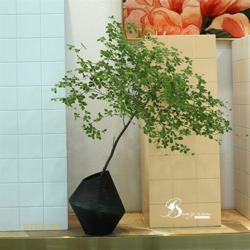 Bình TT xọc ngang tổ kiến (S) 7