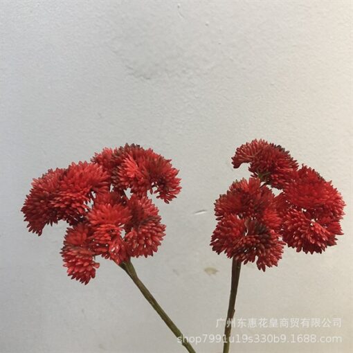 Cành hoa cẩm tú cầu màu đỏ 3