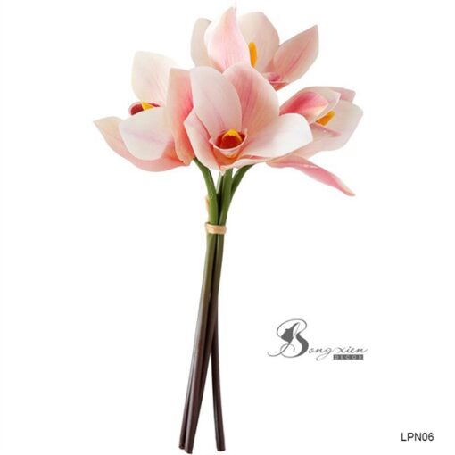Hoa Feesia ( Lan Nam Phi) 5