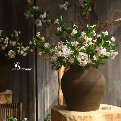 Hoa bưởi hồng 1