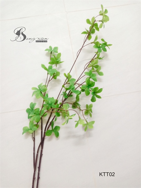 Cành kim tiền thảo 2 Cành kim tiền thảo 1