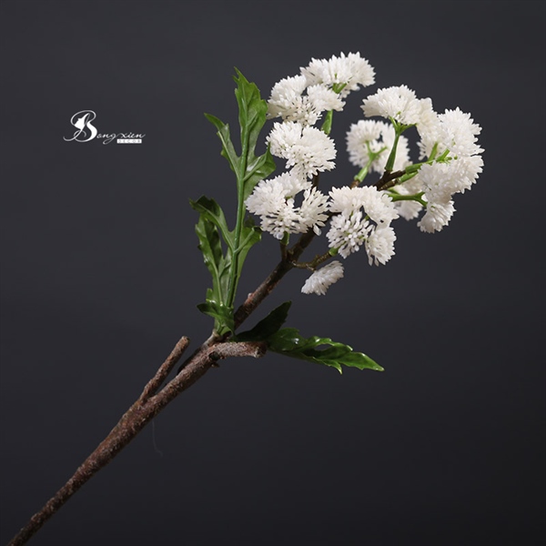 Cành hoa ngọc trai 1 cành 2 Cành hoa ngọc trai 1 cành 1
