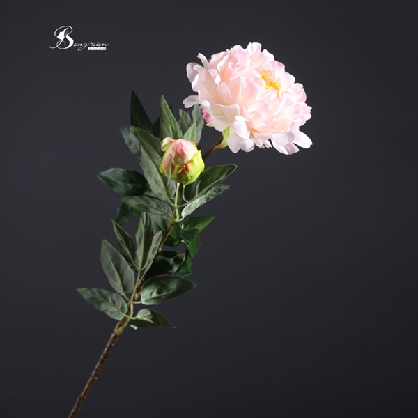 Hoa mẫu đơn 2 cành màu hồng 2 Hoa mẫu đơn 2 cành màu hồng 1