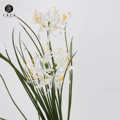 Bông bà nà cổ xưa trắng 1