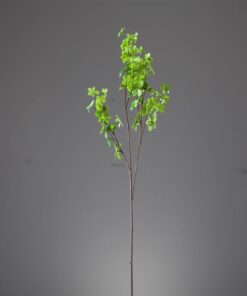Cành kim tiền thảo (lớn) 6 Cành kim tiền thảo (lớn) 5