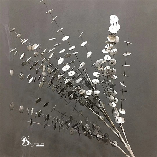 Cành lá đồng tiền màu xám 2 Cành lá đồng tiền màu xám 1