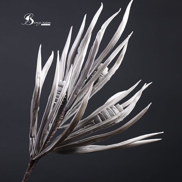 Cành lô hội xám 2 Cành lô hội xám 1