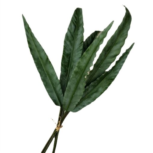 Bó lá tổ đen 6 cành 1