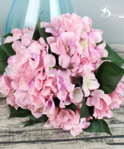 Cẩm tú cầu 18 Cẩm tú cầu 17