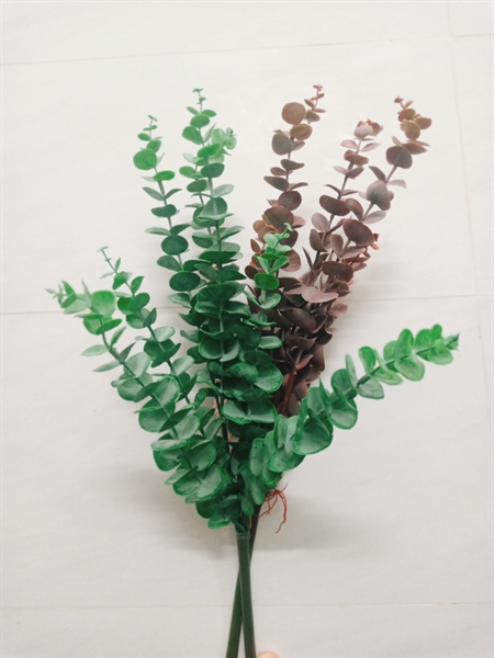 Cây huỳnh diệp xanh 2 Cây huỳnh diệp xanh 1