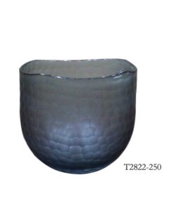 Bình bầu vảy xám 11