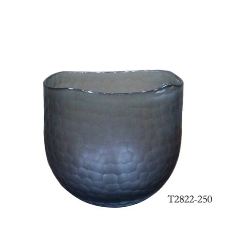Bình bầu vảy xám 3