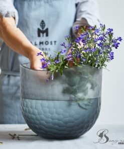 Bình bầu vảy xám 15