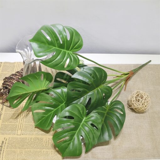 Lá trầu bà D32 1