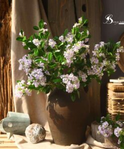 Hoa bưởi tím 9