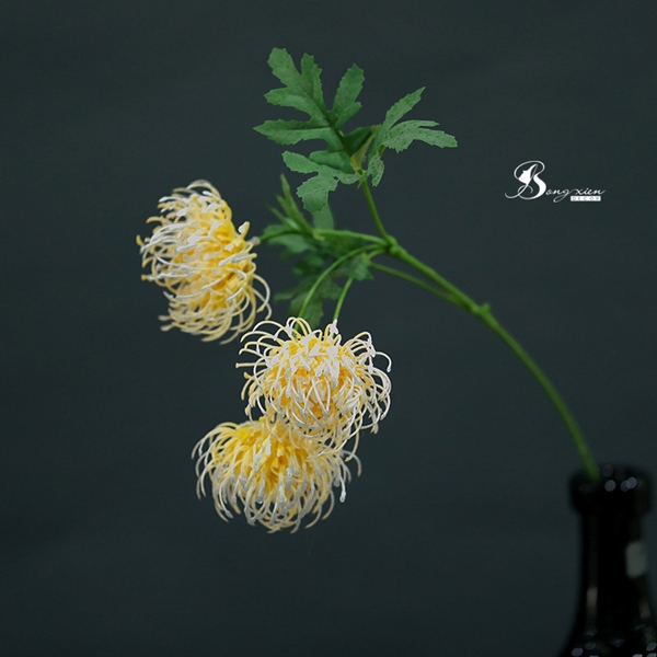 Cành cúc khổng tước vàng trắng 2 Cành cúc khổng tước vàng trắng 1