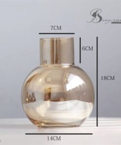 Bình bầu vàng size M 5