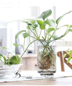 Bình TT trụ xám M lượn sóng (S) 11