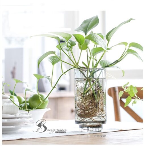 Bình TT trụ xám M lượn sóng (S) 5