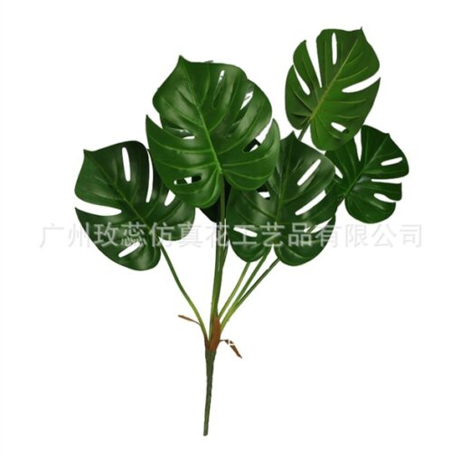 Lá trầu bà D20 1