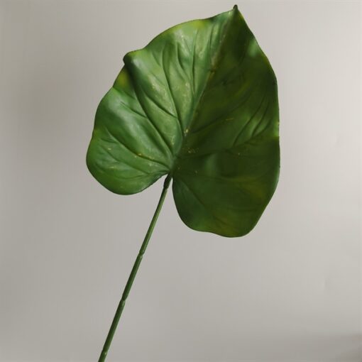 Cành lá quan âm xanh 1