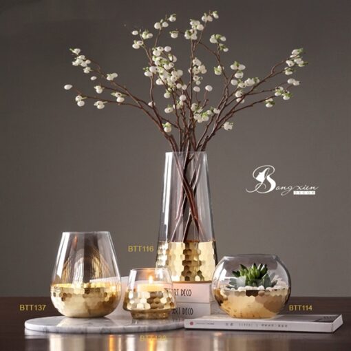 Bình trắng đế vàng XXS 5