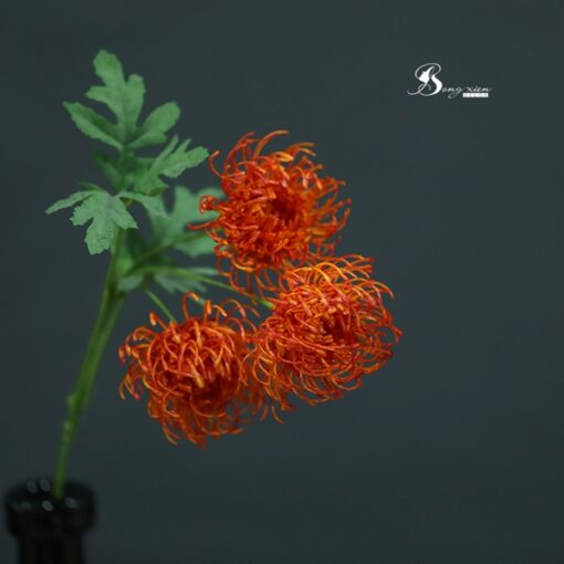Cành cúc khổng tước đỏ cam 1
