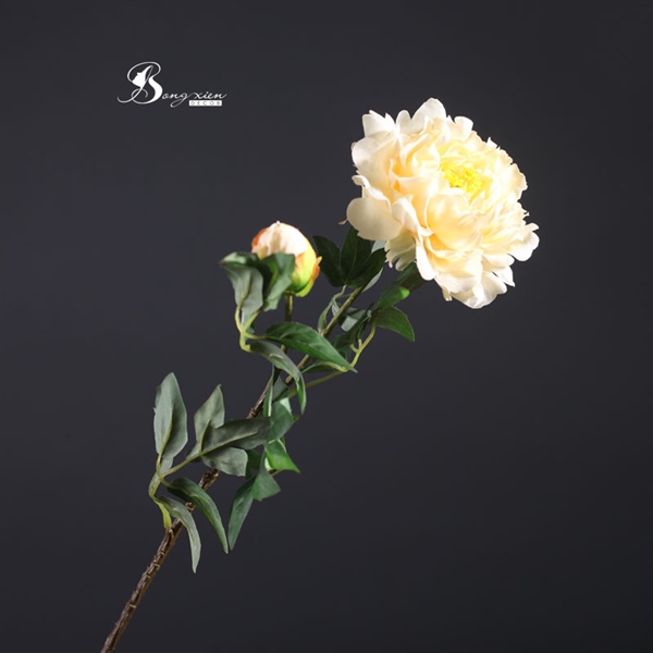 Hoa mẫu đơn 2 cành màu vàng 2 Hoa mẫu đơn 2 cành màu vàng 1