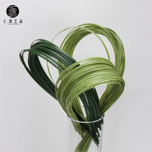 Đường xanh phụ kiện tao kiểu 1