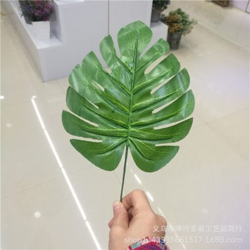 Lá trầu bà D17 1