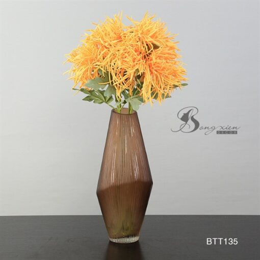 Bình TT bầu nâu sọc 5