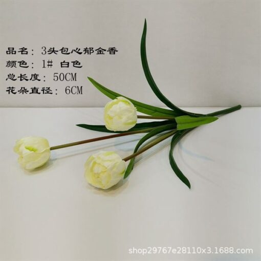 Tuylip 3b cánh sẻ Trắng 1