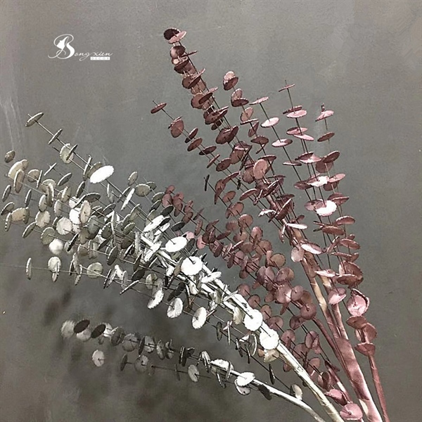 Cành lá đồng tiền màu xám 4 Cành lá đồng tiền màu xám 3