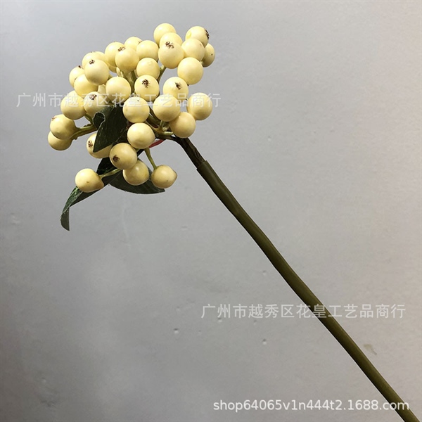 Cành berry đơn màu trắng 2 Cành berry đơn màu trắng 1