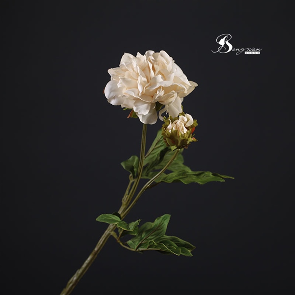 Hoa lụa mẫu đơn 2 bông màu trắng 2 Hoa lụa mẫu đơn 2 bông màu trắng 1