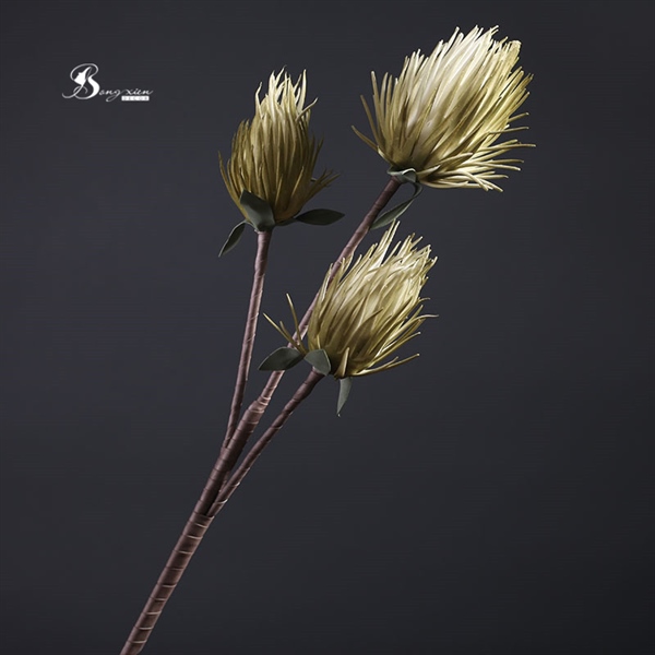 Bông mao cầu màu xanh 2 Bông mao cầu màu xanh 1