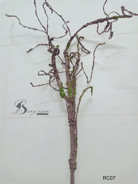 Nhánh rễ cây 2 Nhánh rễ cây 1