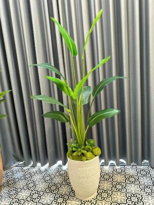 Cây xanh lụa cao cấp – Giải pháp decor bền vững cho người bận rộn 11