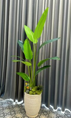 Cây Xanh Hoa Lụa Cao Cấp Ở TP Vinh – Lựa Chọn Hoàn Hảo Cho Ngôi Nhà Bạn 5