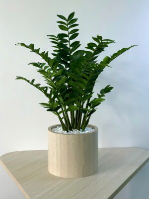 Cây xanh lụa cao cấp – Giải pháp decor bền vững cho người bận rộn 21