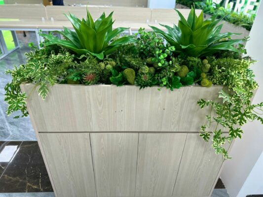 Cây xanh lụa cao cấp – Giải pháp decor bền vững cho người bận rộn 25