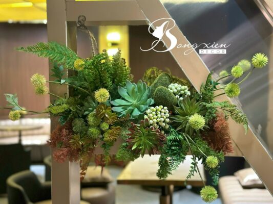 🌿 Sen đá lụa tại TP Vinh – Mua ở đâu đẹp, giống thật, bền lâu? 11