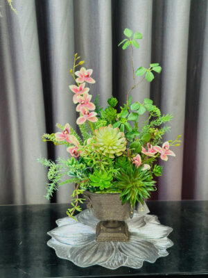 🌿 Sen đá lụa tại TP Vinh – Mua ở đâu đẹp, giống thật, bền lâu? 7