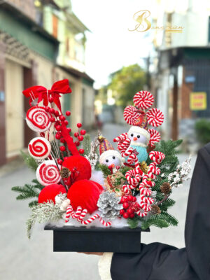 Chậu Thông Trang Trí Noel Đẹp – Sang Trọng Cho Mọi Không Gian Tại TP Vinh 37